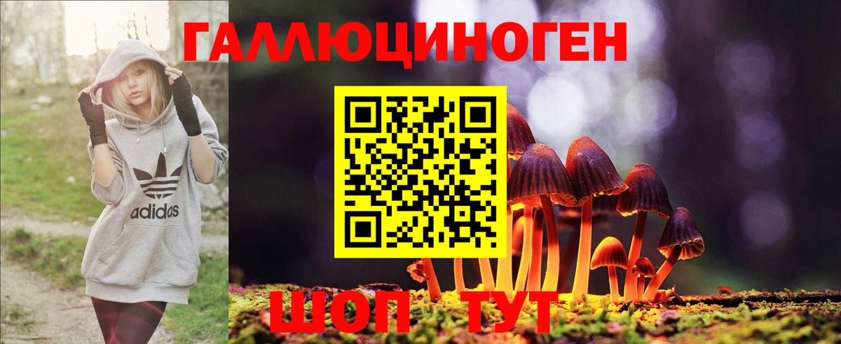 Галлюциногенные грибы GOLDEN TEACHER  что такое   Ковров  Вход с VPN 