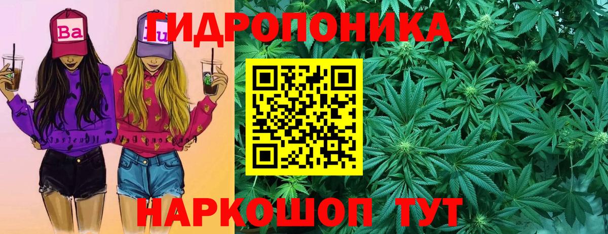 МАРИХУАНА конопля  Канабис MAZAR  Вход с VPN  Каннабис планчик  Ковров 